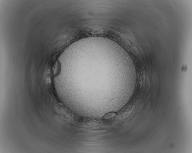 X0000097600962200803141913