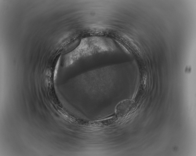 X0000097600964200803141913