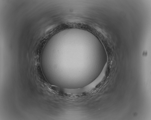 X0000097600965200803141913