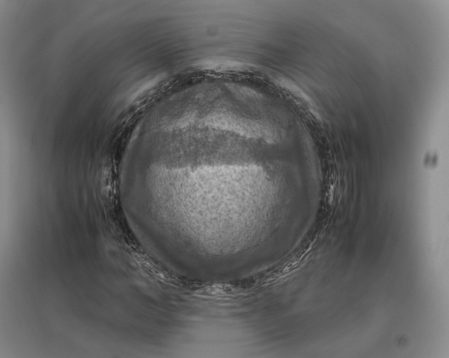 X0000097600966200803141913
