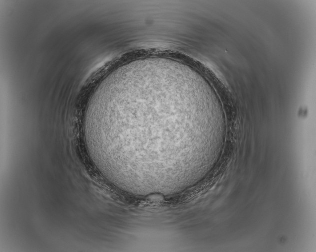 X0000097600967200803141913