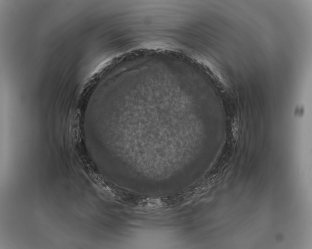 X0000097600968200803141913