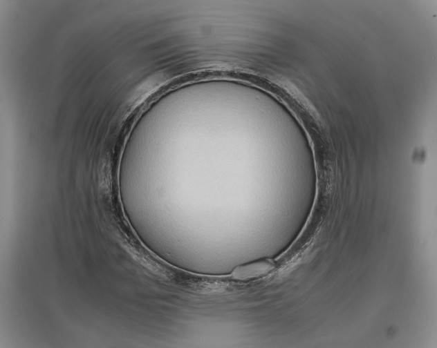 X0000097600969200803141913