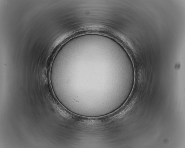 X0000097600970200803141913