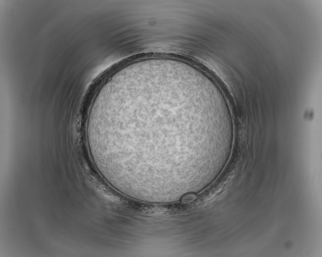 X0000097600971200803141913