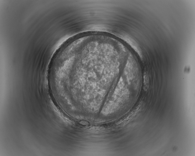X0000097600972200803141913
