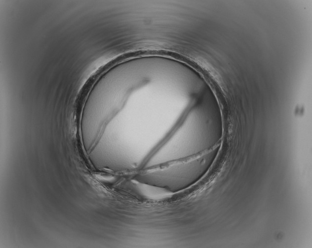 X0000097600973200803141913