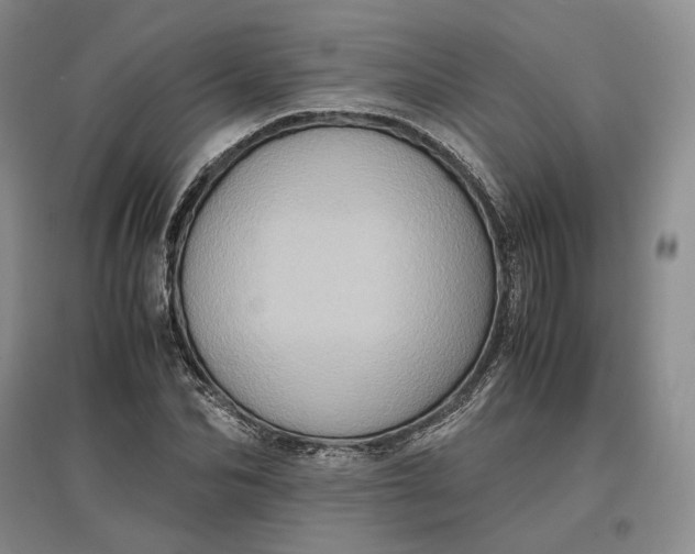 X0000097600974200803141913