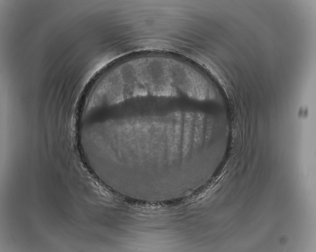 X0000097600975200803141913