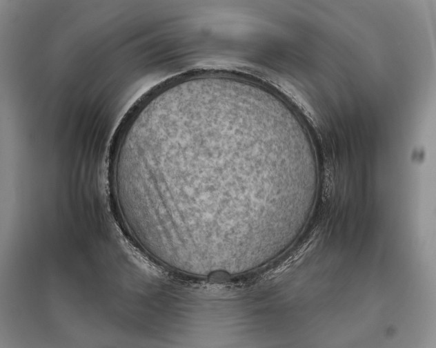 X0000097600976200803141913