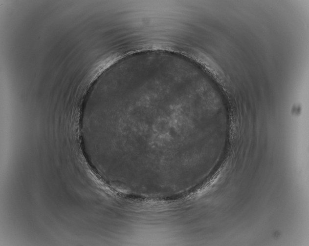 X0000097600977200803141913