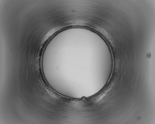 X0000097600978200803141913