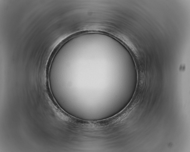 X0000097600980200803141913