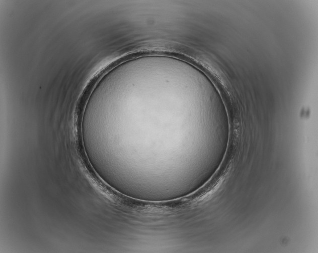 X0000097600981200803141913