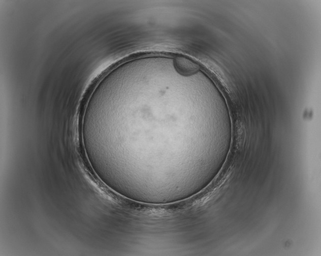 X0000097600982200803141913