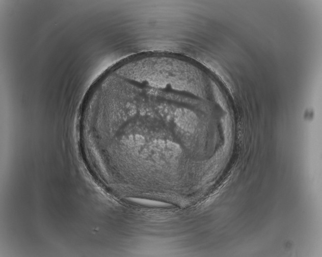 X0000097600983200803141913