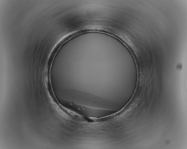 X0000097600984200803141913