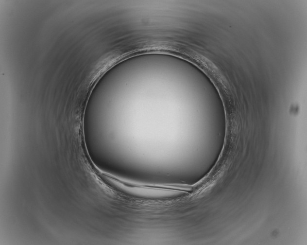 X0000097600985200803141913