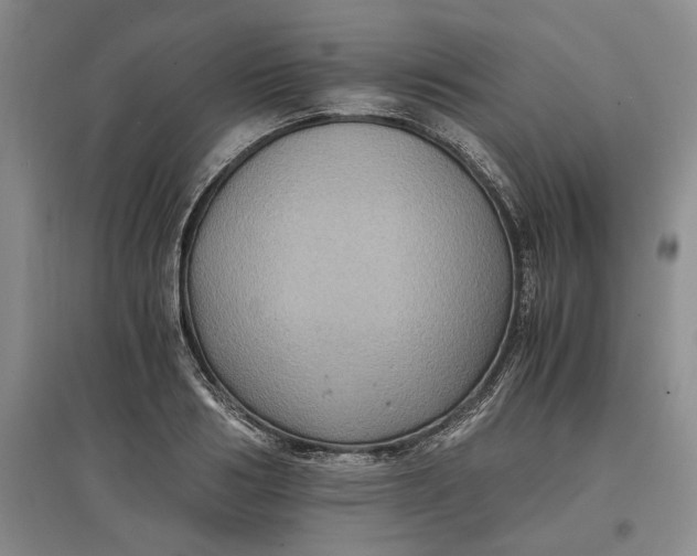 X0000097600986200803141913