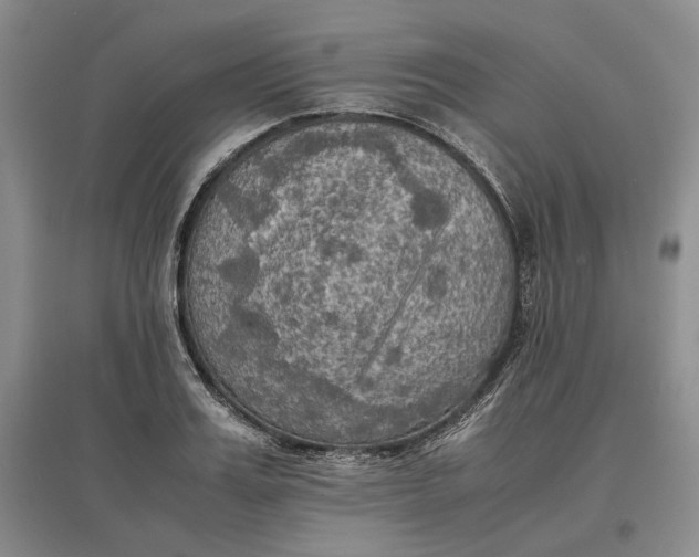 X0000097600987200803141913