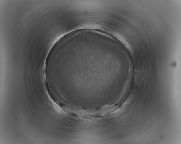 X0000097600988200803141913