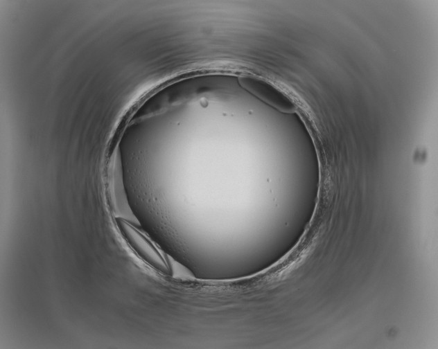 X0000097600989200803141913