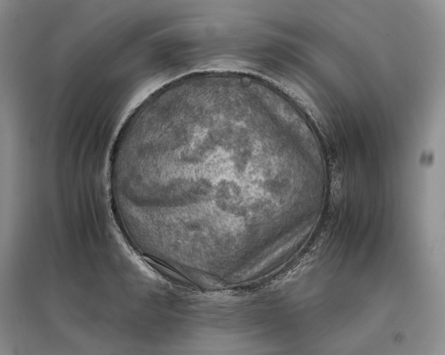X0000097600990200803141913