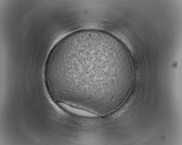 X0000097600991200803141913