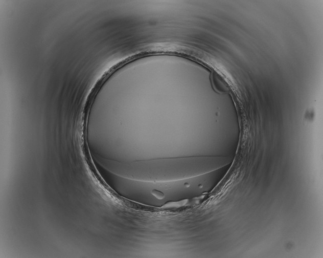 X0000097600992200803141913