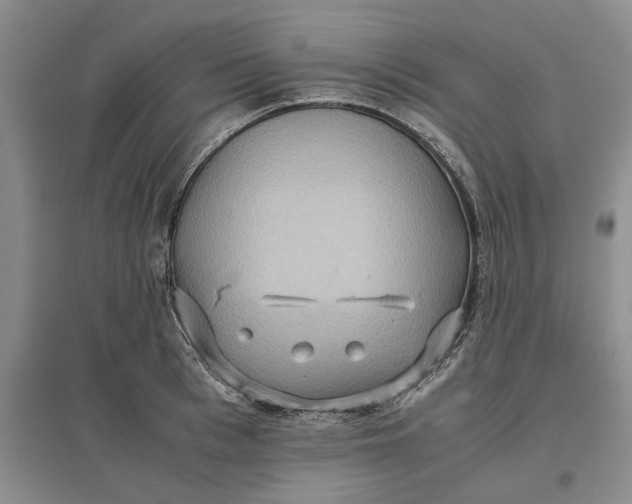 X0000097600993200803141913