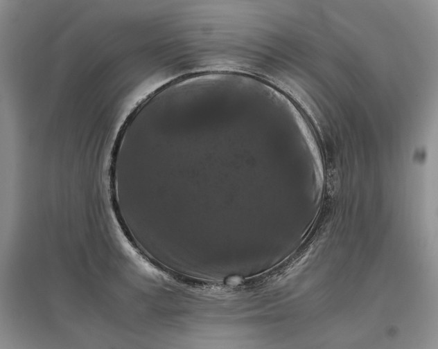 X0000097600995200803141913