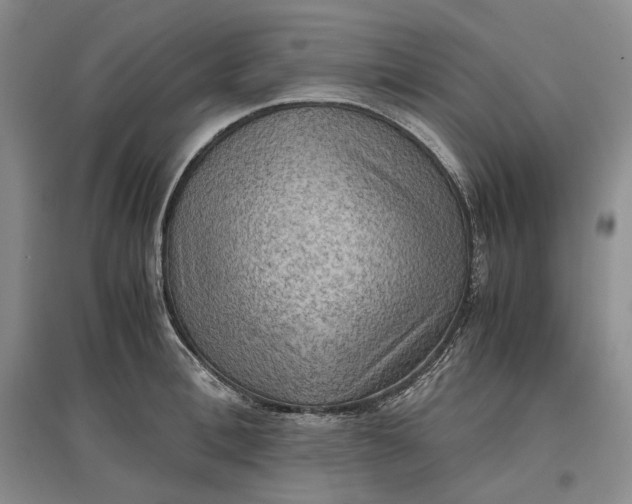 X0000097600996200803141913