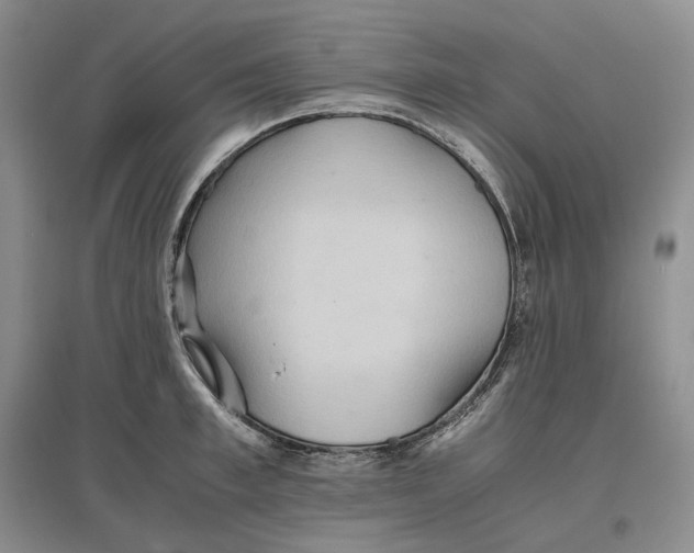 X0000097600997200803141913