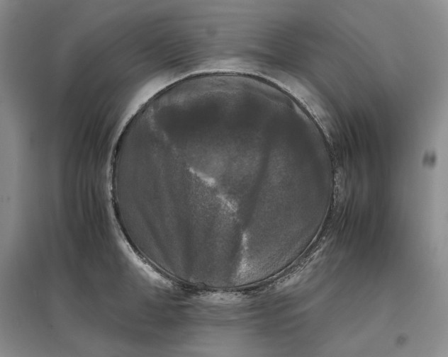 X0000097600998200803141913
