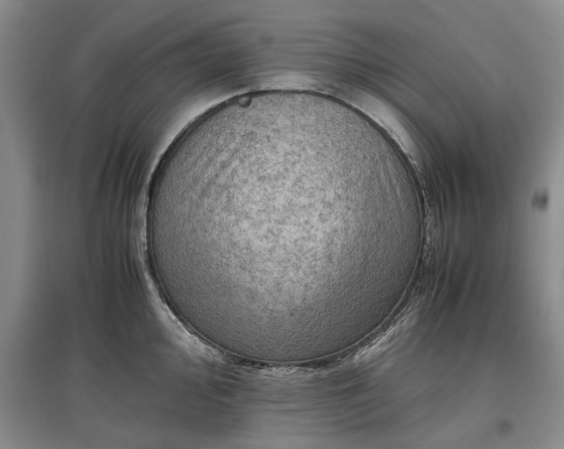 X0000097601000200803141913