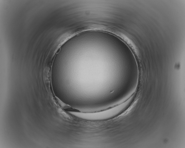 X0000097601001200803141913