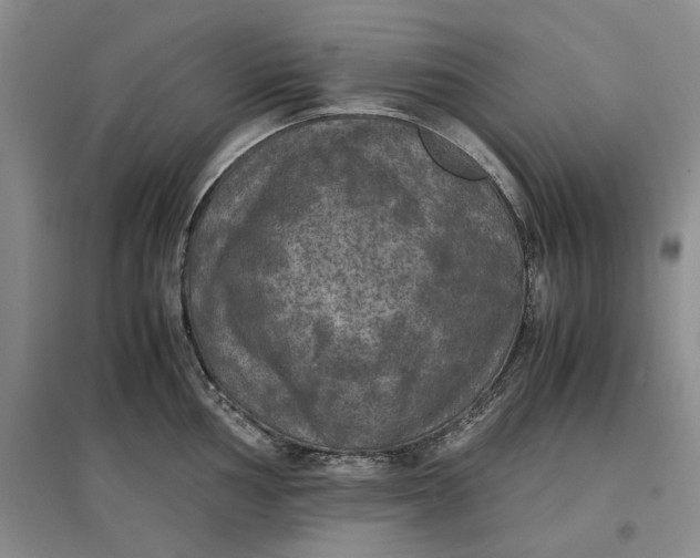 X0000097601002200803141913
