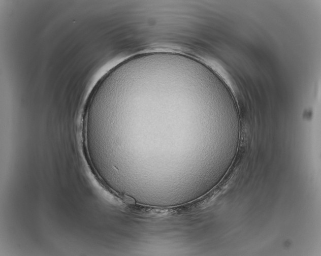 X0000097601003200803141913