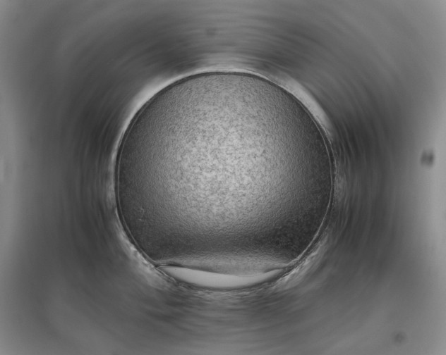 X0000097601004200803141913