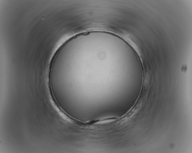 X0000097601005200803141913