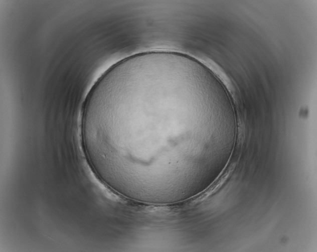 X0000097601006200803141913