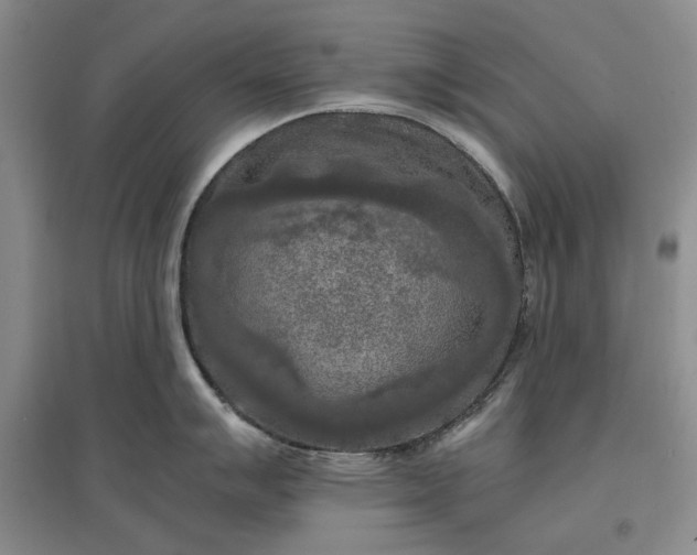 X0000097601007200803141913