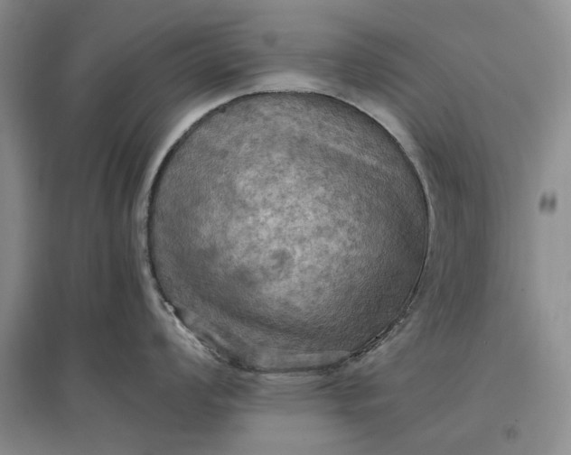 X0000097601008200803141912