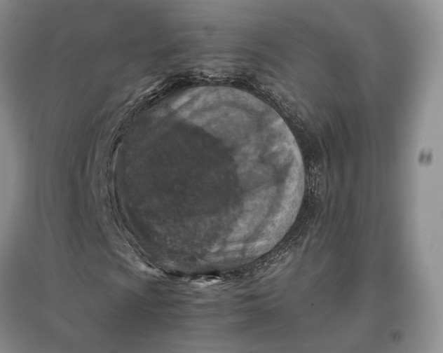 X0000097601009200803141911