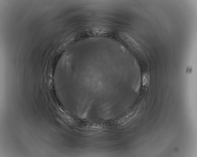 X0000097601011200803141912