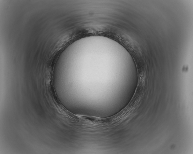 X0000097601012200803141912