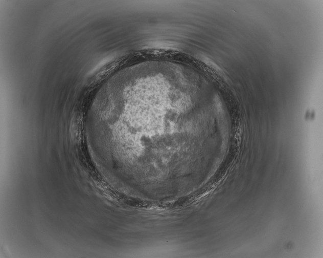 X0000097601014200803141912