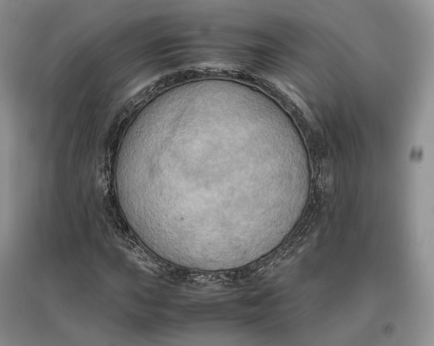 X0000097601015200803141912