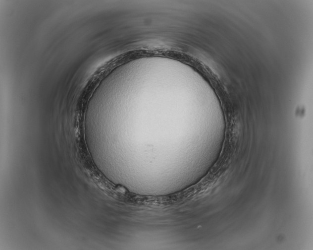 X0000097601016200803141912