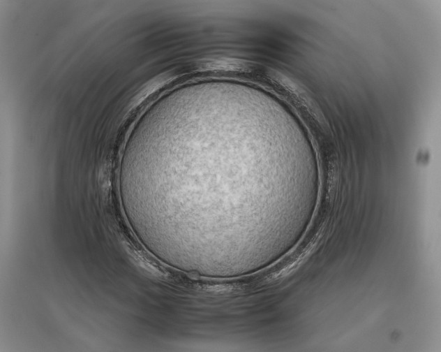 X0000097601017200803141912